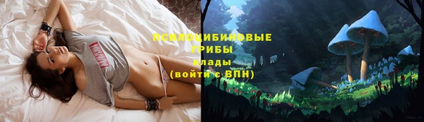 амфетамин Алексеевка