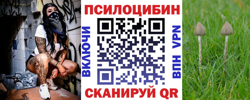 Псилоцибиновые грибы Psilocybe  Дрезна 